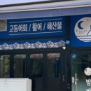 율하밤바다