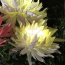 가로등마트 이미지