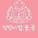 초이스건강스토어