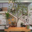 고구려 목장 이미지