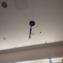 벨라 폴 앤 스트레칭 | [벨라 폴 앤 스트레칭] 빙빙 돌아가는 후프 #에어리얼후프