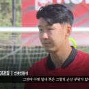 본안과 Daum카페