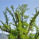 무정면사무소 이미지