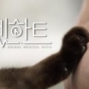 회인동물병원