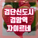 원당 태리간 광역도로 건설공사 토목공사 | 검단 자이르네 아파트 가치 분석, 검단신도시 중심에서 누리는 프리미엄 라이프!
