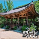 삼모산 등산로 | [공지] 포항 수국 만개한 운제산 오어사 풍경 (7/14 실시간 현황 추가)