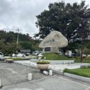 부산 손 칼국수
