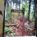 무릉도원면-20 이미지