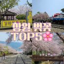한국폴리텍 VII 대학 창원캠퍼스 | 봄 나들이 가기 좋은 창원 벚꽃 명소 TOP5