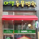 아델동물병원 네이버블로그