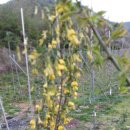 햇살농장 이미지