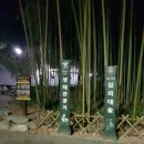 은하수아파트상가 앞 이미지