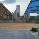 솔강중학교 이미지