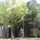 농부의식탁(Farmer's Table)파머스테이블 이미지