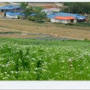 근흥목장 이미지