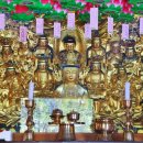 상주 남장사 관음선원 목각아미타여래설법상 이미지