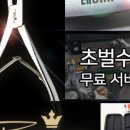 와우네일 이미지