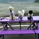 신안안경 이미지