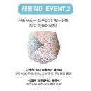 디어마이소잉
