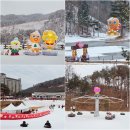 11545-03-06-18 | 오크밸리 리조트 쿠키런 스위트랜드 패키지 입장권 가격 후기 강원도 원주 눈썰매장 추천