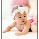 레몬트리 이미지