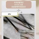 제제헤어 - 송파구 | 제제헤어