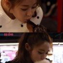 유나펫 이미지