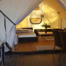 트리캠핑장 이미지