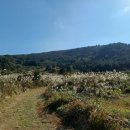 달리오름 이미지