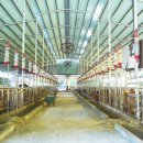 이현숙농장 이미지