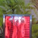 우성축산물