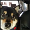 GS25 강릉내곡점 이미지