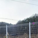 여주 다리원 애견독채팬션 이미지