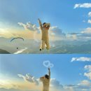 가족오락관(본점) | [단양] 2박 3일 가족여행 | 맛집, 카페, 패러글라이딩까지 행복 코스