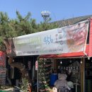 서울근교애견동반 경기도 당일글램핑 일리다글램핑456