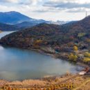 별빛관광농원글램핑장 이미지