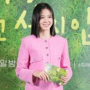 핑크폭스