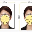 시청국제여행사