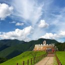 웰니스 코리아 이미지