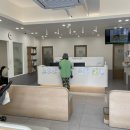 뉴욕동물병원 이미지