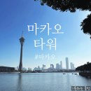 랜드마크타워 | 마카오 타워 - 마카오 랜드마크 전망대 내돈내산 솔직 후기