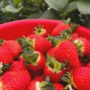 성희농장 이미지