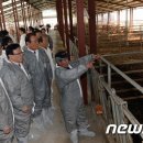 금성에너지태양광발전소 이미지