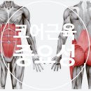 SUIT GYM(수트짐) 이미지