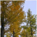 생명공원 이미지