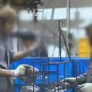 행정사 사무소 창(窓) 이미지