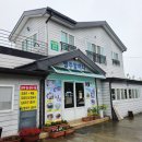 선흘방주할머니식당 제주 조천 향토음식점 <b>선흘</b><b>방주</b><b>할머니</b><b>식당</b> 곰취만두