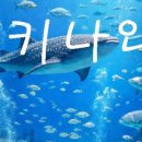 (주)마니투어 - 달서구 | (주)마니투어