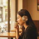 온더트랙 | 다이슨온트랙 헤드셋 후기. 소니 애플 세 모델 착용 후 선택 기준