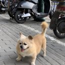 황주식품 네이버블로그